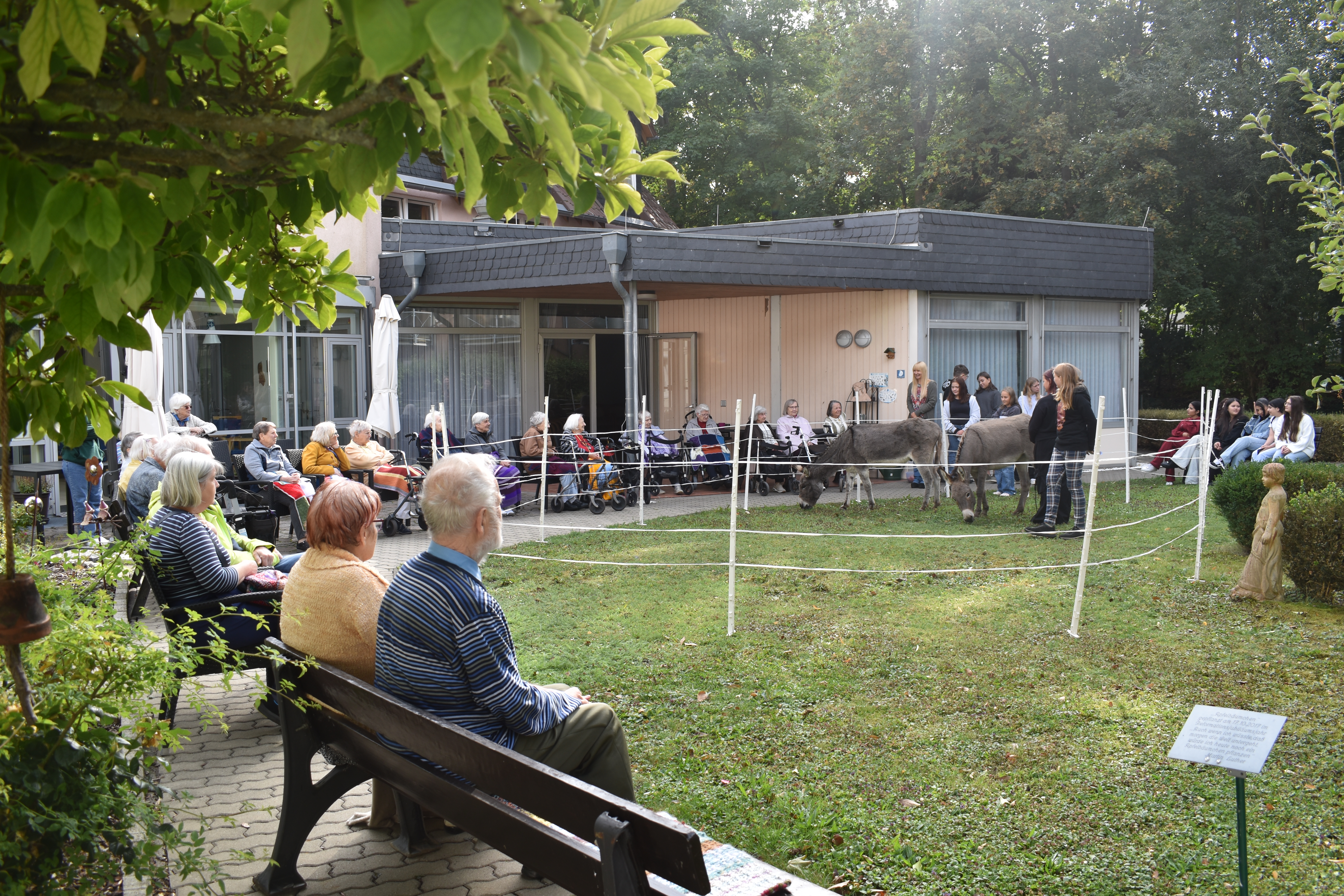 Eselprojekt im Seniorenheim  Eselprojekt im Seniorenheim